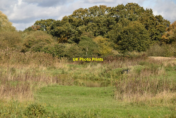 Photo 6"x4" Small pond, Busy Park Teddington\/TQ1670 c2019