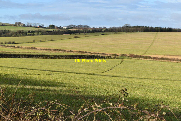 Photo 6"x4" Bridleway across fields toward Ebbesbourne Wake Bowerchalke c2020