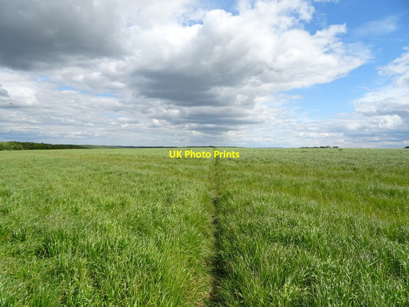 Photo 6"x4" Bridleway towards Terrington Wiganthorpe c2020