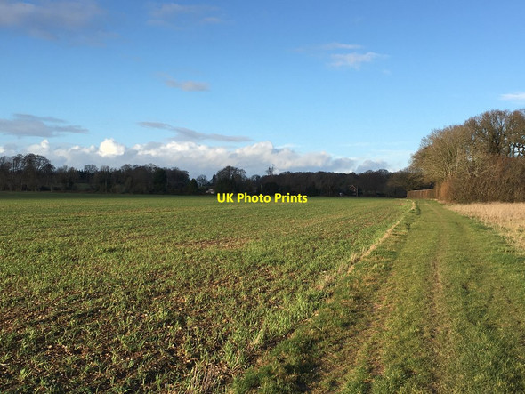 Photo 6"x4" Bridleway to Mother's Copse Newfound c2020