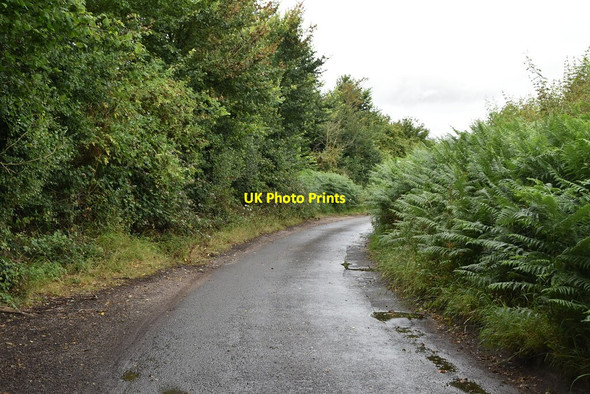 Photo 6"x4" Lane to Bix Manor Farm Bix c2019