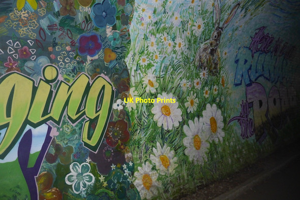 Photo 6"x4" Mural, Colinton Tunnel Bonaly c2020 P1