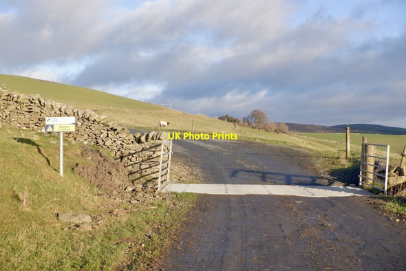 Photo 6"x4" Cattle grid, Hopringle Allanshaugh c2020