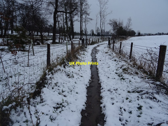 Photo 6"x4" Bridleway in snow Malvern Common c2020
