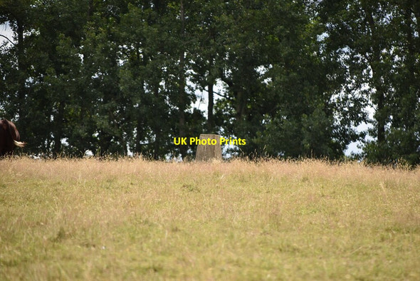 Photo 6"x4" Triangulation Pillar, Dry Hill Fort Hammerwood c2020