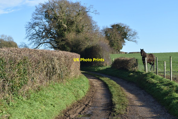 Photo 6"x4" Footpath on track at Manor Farm Michelmersh c2021