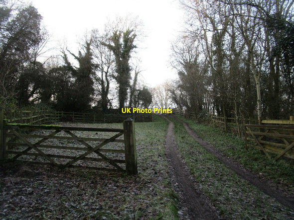 Photo 6"x4" Bridleway on Bunny Hill Bunny Hill\/SK5728 c2020