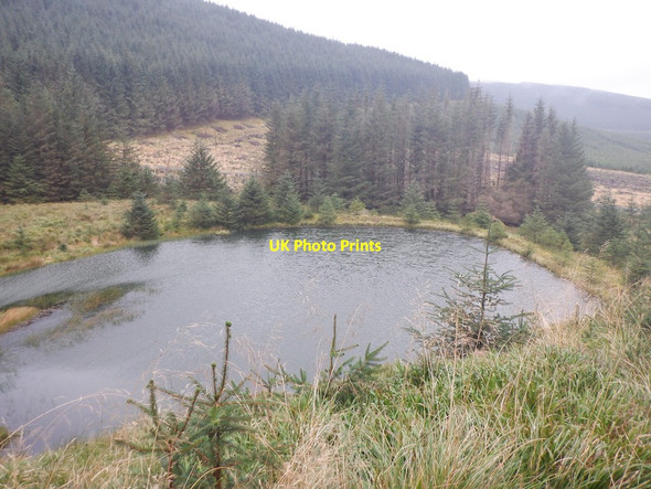 Photo 6"x4" Pond, Berrybush Burn Wardlaw\/NT2916 c2020