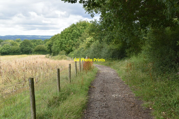 Photo 6"x4" Bridleway to Greybury Marsh Green\/TQ4444 c2020