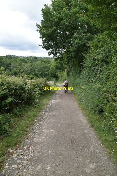 Photo 6"x4" Bridleway to Greybury Marsh Green\/TQ4444 c2020 P2