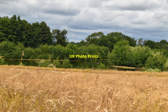 Photo 6"x4" Pond, Skitts Farm Haxted c2020
