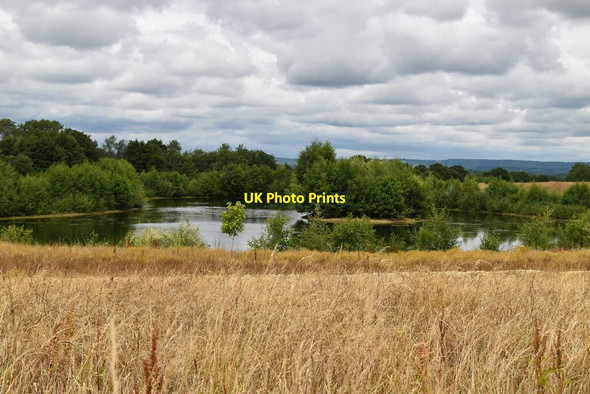 Photo 6"x4" Pond, Skitts Farm Haxted c2020 P1