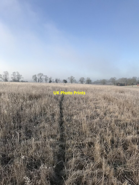 Photo 6"x4" Bridleway to Holcot Hannington\/SP8171 c2021