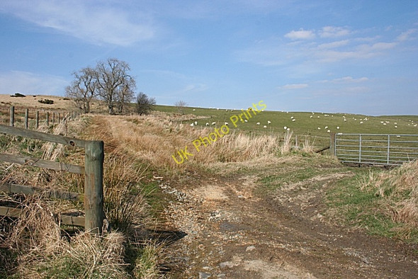 Photo 6"x4" Near Cairnargat Haugh of Glass c2009