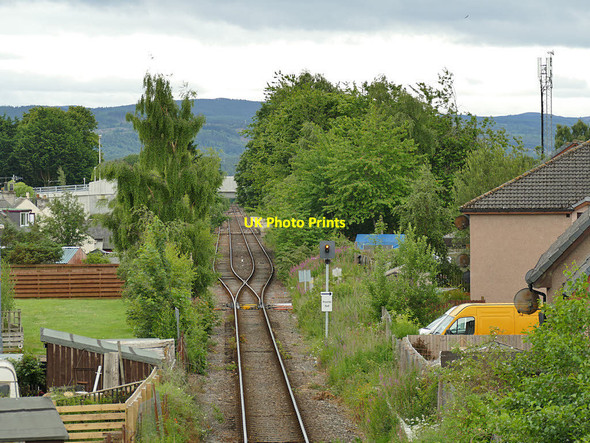 Photo 6"x4" Track singles north of Muir of Ord Muir of Ord c2019