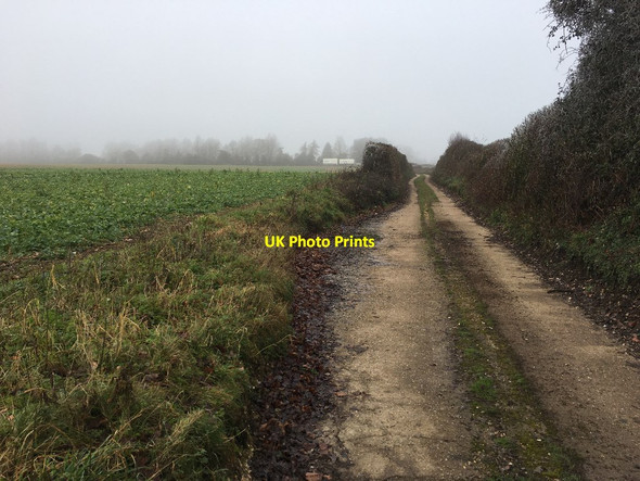Photo 6"x4" Byway north of Whitedown Cottages Upper Wootton c2021