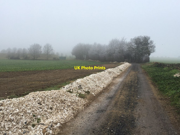 Photo 6"x4" Byway north of Whitedown Cottages Upper Wootton c2021 P2
