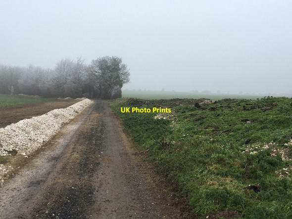 Photo 6"x4" Byway north of Whitedown Cottages Upper Wootton c2021 P3