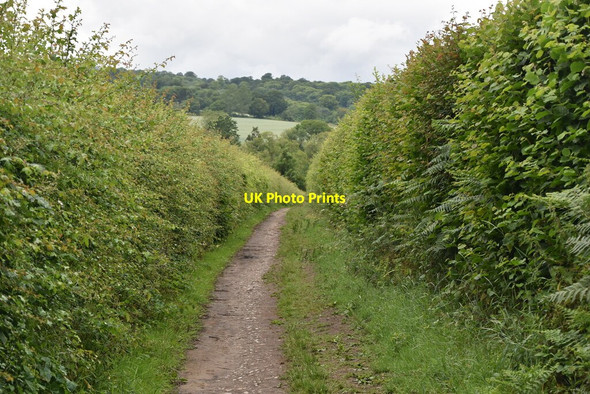 Photo 6"x4" Enclosed bridleway Plaxtol c2020