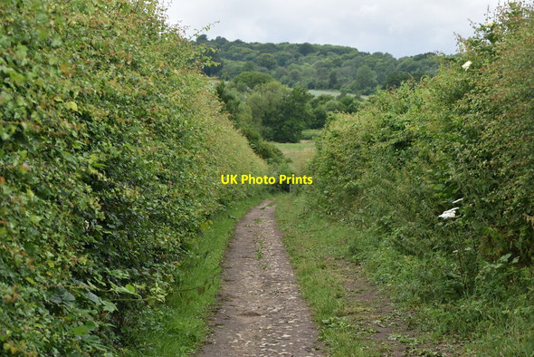 Photo 6"x4" Enclosed bridleway Plaxtol c2020 P1