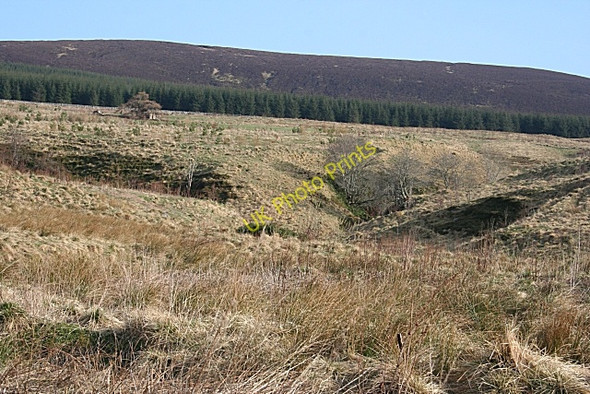 Photo 6"x4" Looking Towards Muckle Black Hill Haugh of Glass c2009