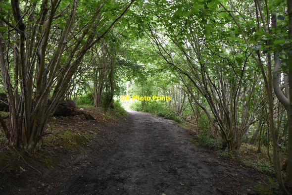 Photo 6"x4" Bridleway, High Beeches Plaxtol c2020