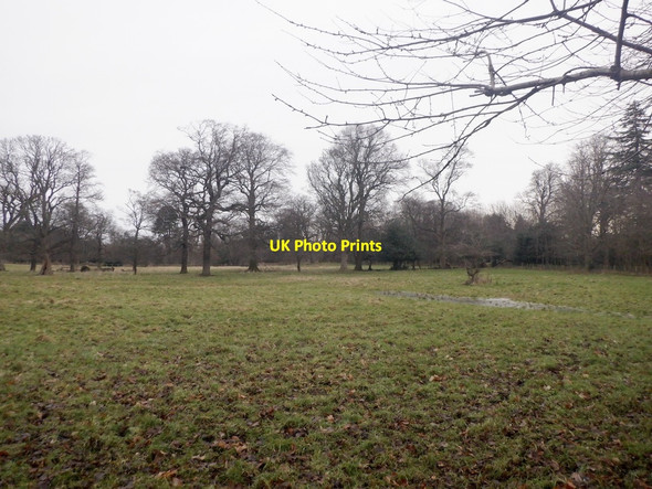 Photo 6"x4" Cattle pasture, Prestonfield Edinburgh c2021 P1