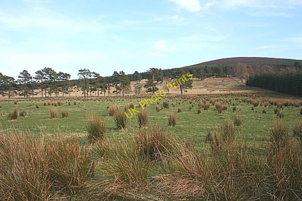 Photo 6"x4" Looking Towards Brown Hill Haugh of Glass c2009