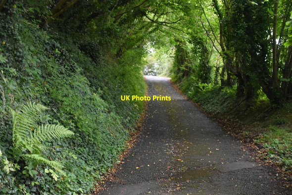 Photo 6"x4" Saxon Shore Way Etchinghill\/TR1639 c2019