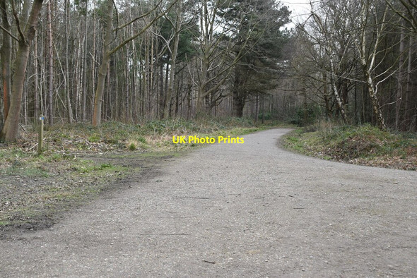 Photo 6"x4" Bridleway, Hemsted Forest Goddard's Green\/TQ8134 c2020