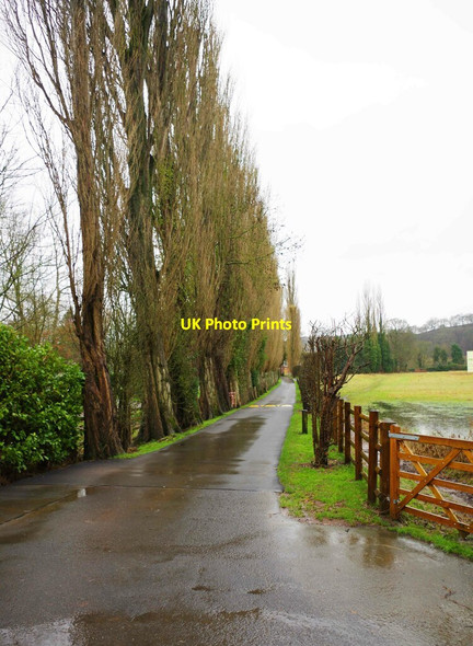 Photo 6"x4" Private road to Lickhill Manor Caravan Park, Stourport-on-Severn, Worcs Stourport-on-Severn c2021