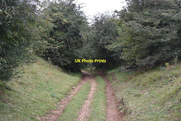 Photo 6"x4" Saxon Shore Way descending Tolsford Hill Newbarn\/TR1539 c2019