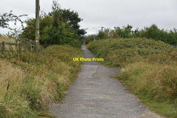 Photo 6"x4" Saxon Shore Way Postling c2019