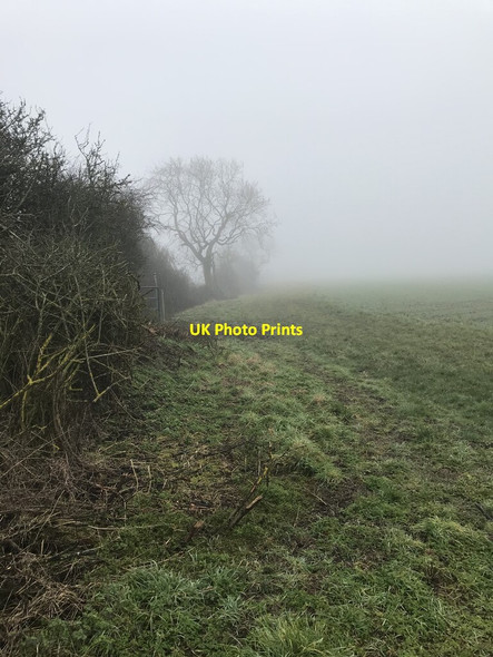 Photo 6"x4" Countryside bridleway Hargrave\/TL0370 c2021