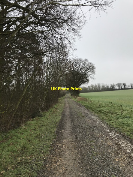 Photo 6"x4" Countryside bridleway Keyston c2021