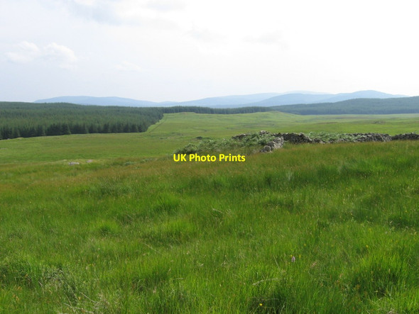 Photo 6"x4" Sheepfold below Rig of Clenrie Minnigall Lane c2006