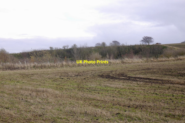 Photo 6"x4" Wooded limestone quarry, Dodridge Pathhead\/NT3964 c2020