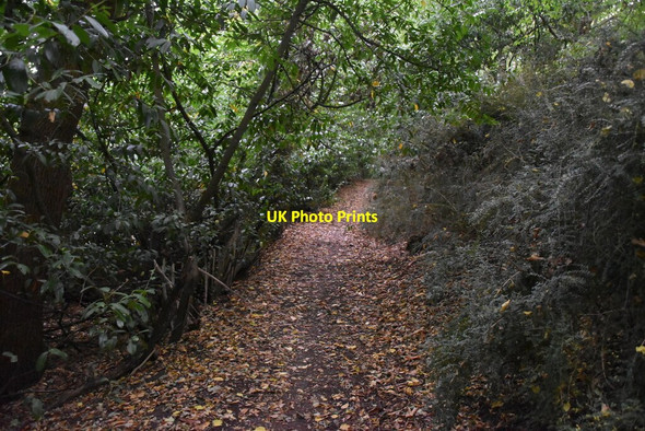 Photo 6"x4" Saxon Shore Way Hythe\/TR1634 c2019