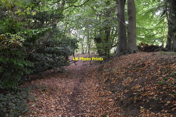 Photo 6"x4" Saxon Shore Way Hythe\/TR1634 c2019 P1