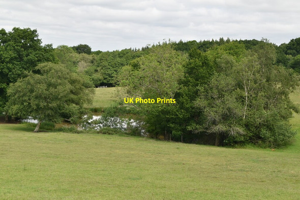 Photo 6"x4" Small pond, Buckham Hill Sharpsbridge c2020