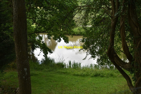 Photo 6"x4" Pond, Puckstye Farm Holtye c2020