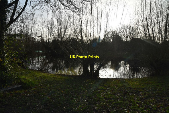 Photo 6"x4" Pond by Grigg Lane Grigg c2019