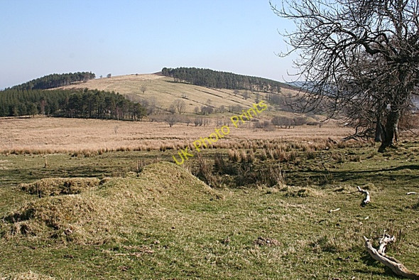 Photo 6"x4" Looking towards Gallows Hill Haugh of Glass c2009