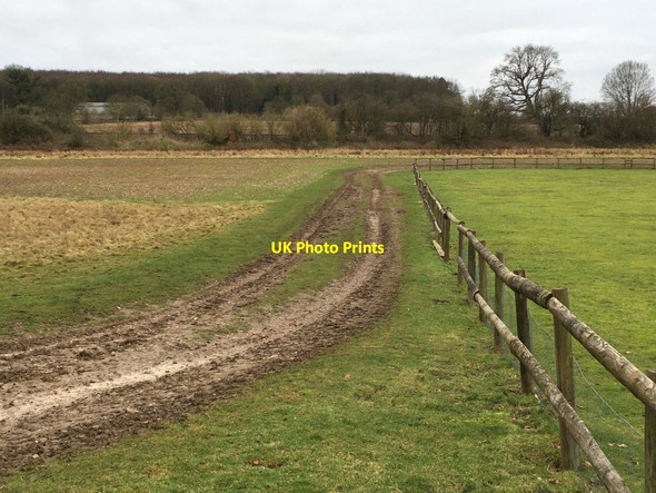 Photo 6"x4" Edge of Oakley cricket ground Church Oakley c2021
