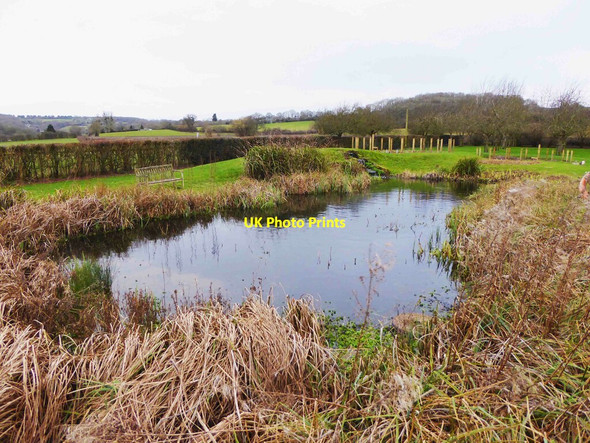 Photo 6"x4" Eye Veterinary Clinic (6) - pond in grounds, Marlbrook, near Leominster, Herefs Newton\/SO5053 c2021