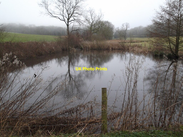 Photo 6"x4" Pond in Drewton Dale South Cave c2021