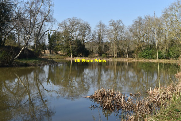 Photo 6"x4" Melchet Pond Plaitford Green c2021
