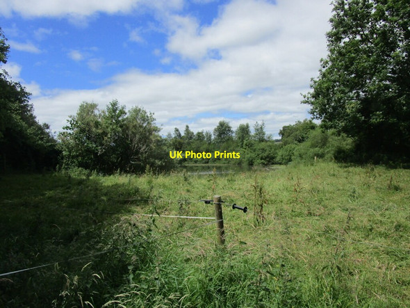 Photo 6"x4" Trees and pond, the Gearagh Tooms c2018