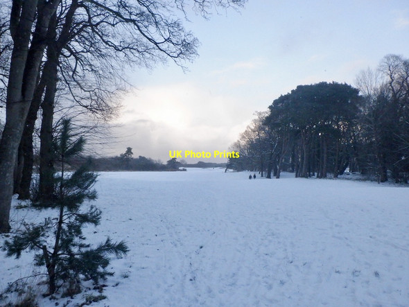 Photo 6"x4" Longniddry Golf Club Longniddry c2021