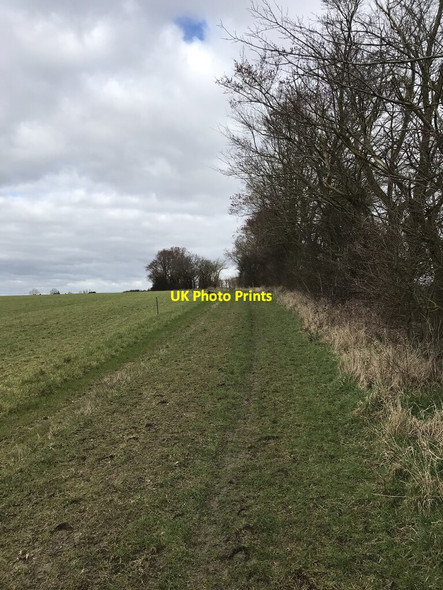 Photo 6"x4" Bridleway field view Covington\/TL0570 c2021